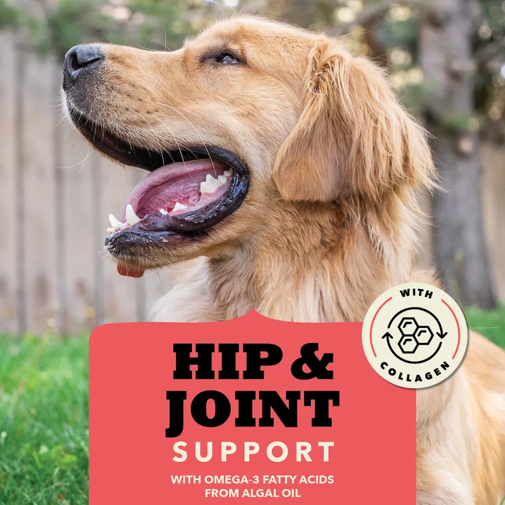 Fashion Chewy Strips Hip & Joint Beef Dog Treats Treats Treats & Chews