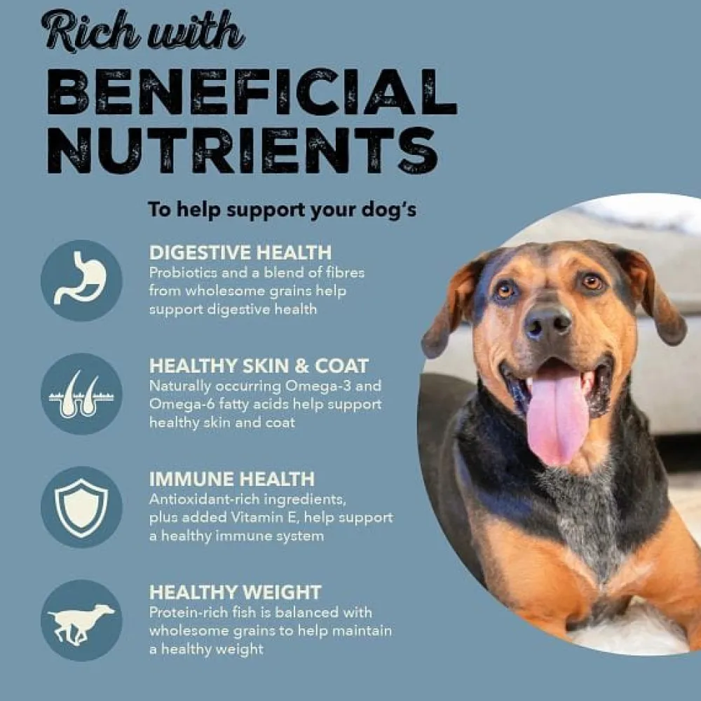 New Healthy Grains Adult Sea & Stream Food Dry, Wet, Freeze Dried, Etc.