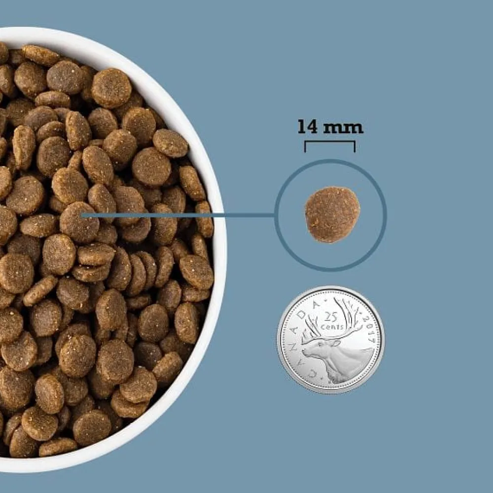 New Healthy Grains Adult Sea & Stream Food Dry, Wet, Freeze Dried, Etc.
