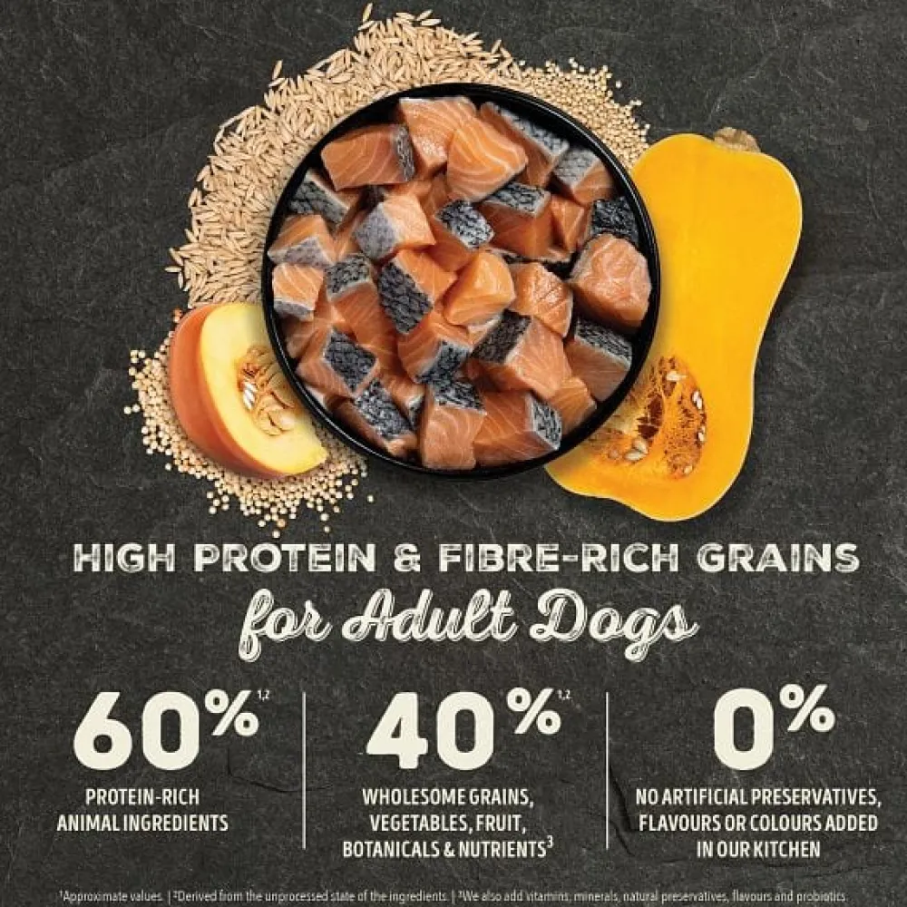 New Healthy Grains Adult Sea & Stream Food Dry, Wet, Freeze Dried, Etc.