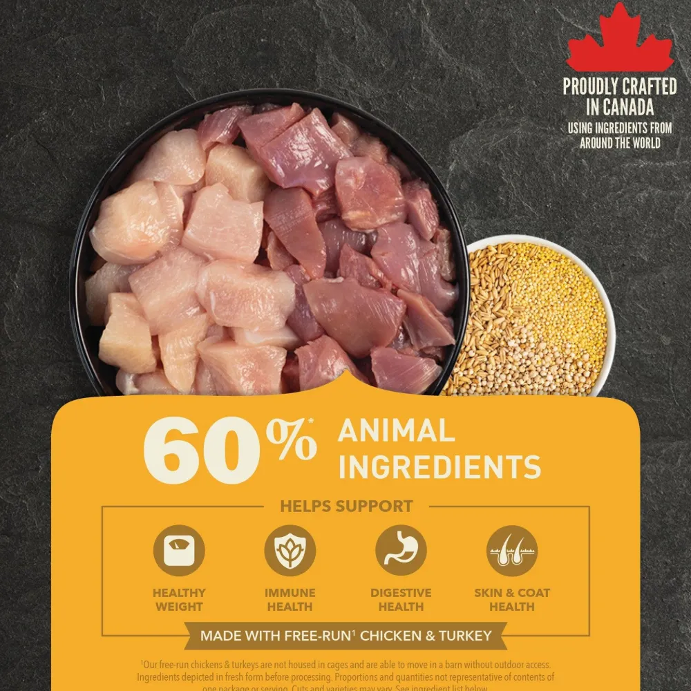Online Healthy Grains Free-Run Poultry Dry Dog Food Recipe Food Dry, Wet, Freeze Dried, Etc.