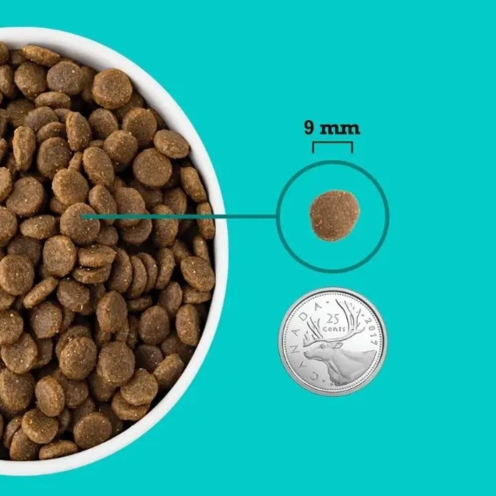 New Healthy Grains Puppy Sea & Farm Food Dry, Wet, Freeze Dried, Etc.