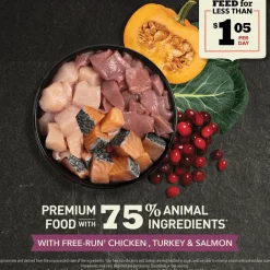 Fashion Highest Protein Grain-Free Dry Kitten Food Dry Food Dry Cat Food