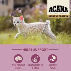 Fashion Highest Protein Grain-Free Dry Kitten Food Dry Food Dry Cat Food
