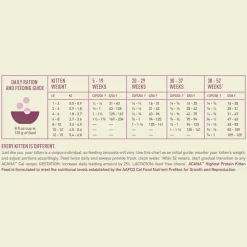 Fashion Highest Protein Grain-Free Dry Kitten Food Dry Food Dry Cat Food