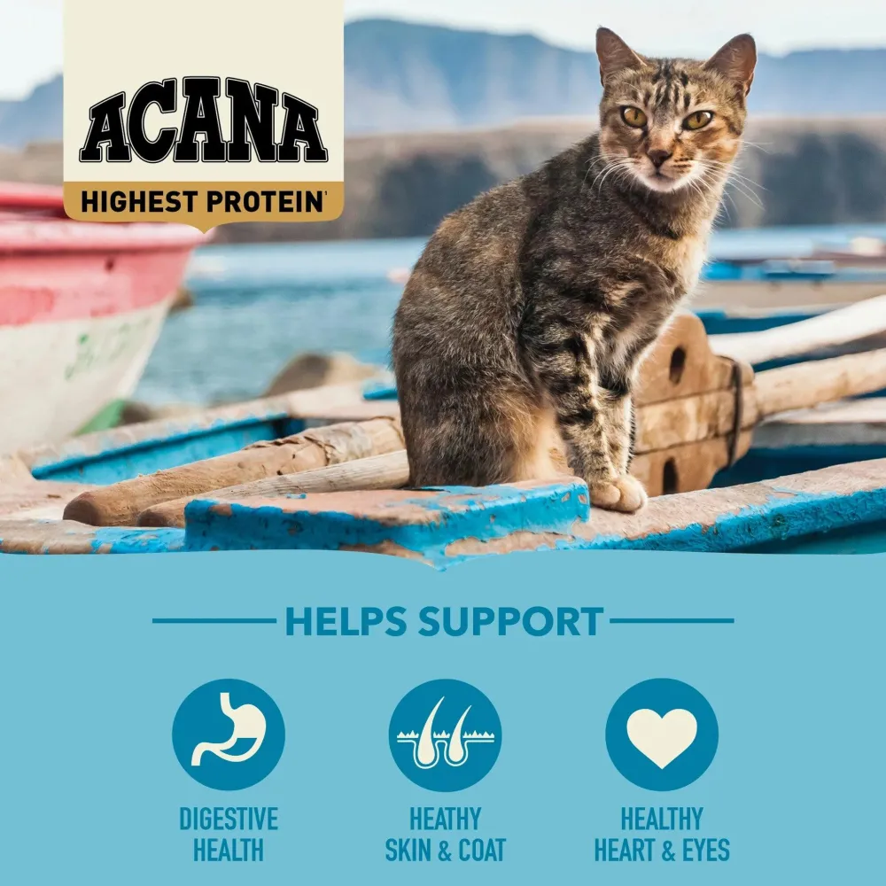 Best Highest Protein Super Premium Cat Food Pacifica Recipe Dry Food Dry Cat Food