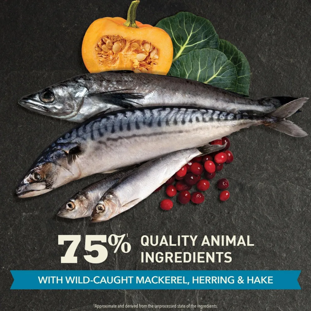 Best Highest Protein Super Premium Cat Food Pacifica Recipe Dry Food Dry Cat Food