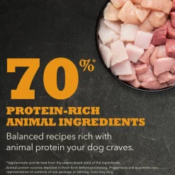 Outlet Highest Protein Wild Prairie Dry Dog Food Recipe Food Dry, Wet, Freeze Dried, Etc.