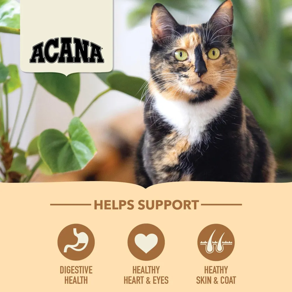 Online Premium Cat Food Homestead Harvest Recipe Dry Food Dry Cat Food