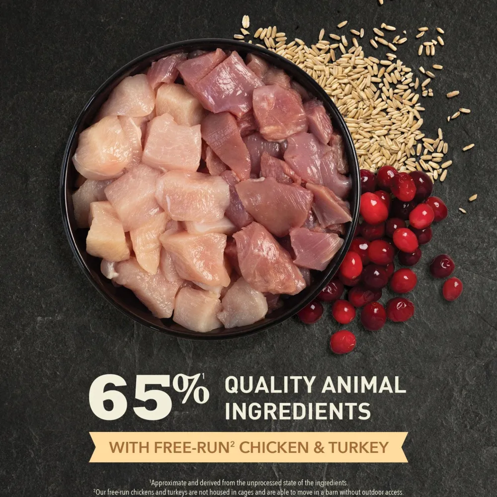 Online Premium Cat Food Homestead Harvest Recipe Dry Food Dry Cat Food