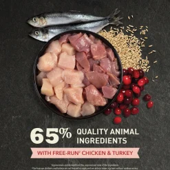 Outlet Premium Cat Food Indoor Entrée Dry Food Dry Cat Food