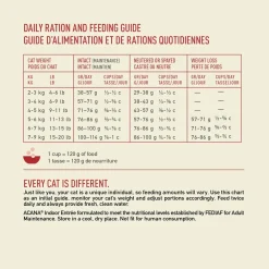 Outlet Premium Cat Food Indoor Entrée Dry Food Dry Cat Food