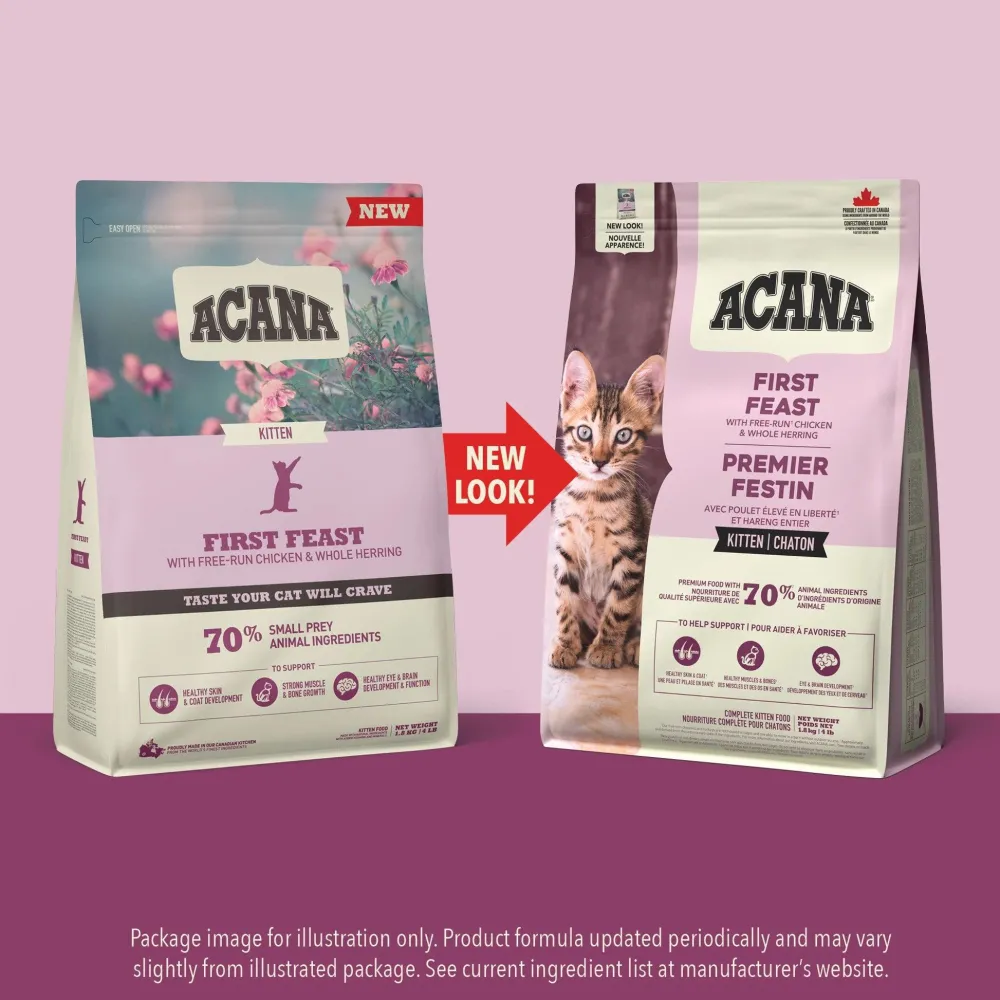 Discount Premium Kitten First Feast Recipe Dry Food Dry Cat Food