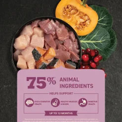 Discount Premium Kitten First Feast Recipe Dry Food Dry Cat Food