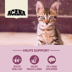 Discount Premium Kitten First Feast Recipe Dry Food Dry Cat Food
