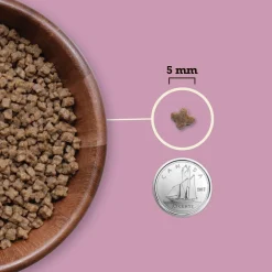 Discount Premium Kitten First Feast Recipe Dry Food Dry Cat Food