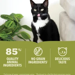 New Wet Cat Food Chicken + Tuna Recipe In Bone Broth For Kittens Wet Food Cans, Pouches, Tetra Paks, Etc.