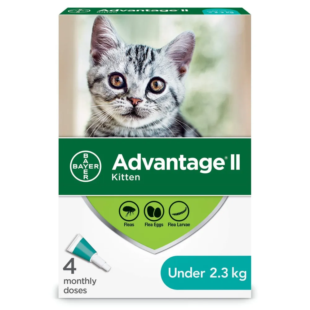 Fashion II For Kittens Supplies Leashes, Collars, Beds, Flea & Tick, Etc.