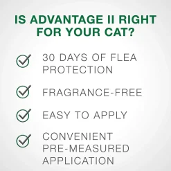 Fashion II For Kittens Supplies Leashes, Collars, Beds, Flea & Tick, Etc.
