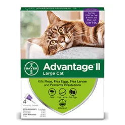 Fashion II For Large Cats Supplies Collars, Scratchers, Toys, Etc.