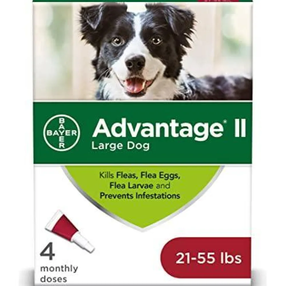 Fashion II For Large Dogs Supplies Leashes, Collars, Beds, Flea & Tick, Etc.