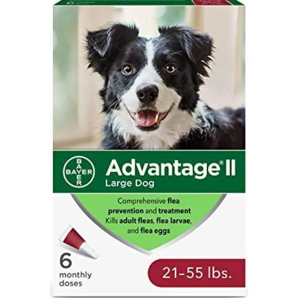 Fashion II For Large Dogs Supplies Leashes, Collars, Beds, Flea & Tick, Etc.