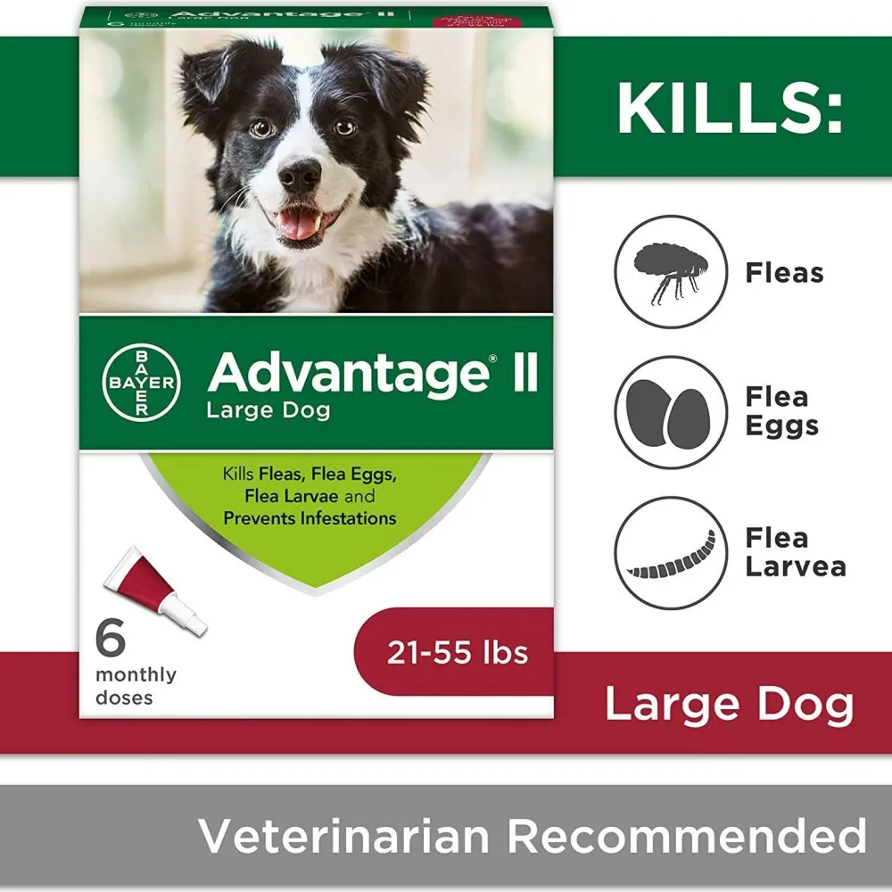 Fashion II For Large Dogs Supplies Leashes, Collars, Beds, Flea & Tick, Etc.