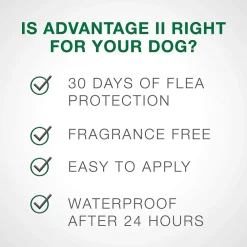 Fashion II For Large Dogs Supplies Leashes, Collars, Beds, Flea & Tick, Etc.