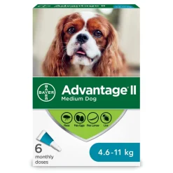 New II For Medium Dogs Supplies Leashes, Collars, Beds, Flea & Tick, Etc.