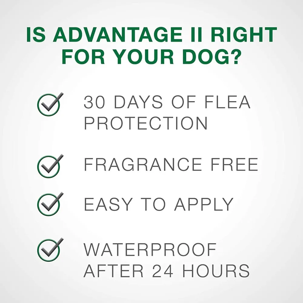 Outlet II For X-Large Dogs Supplies Leashes, Collars, Beds, Flea & Tick, Etc.