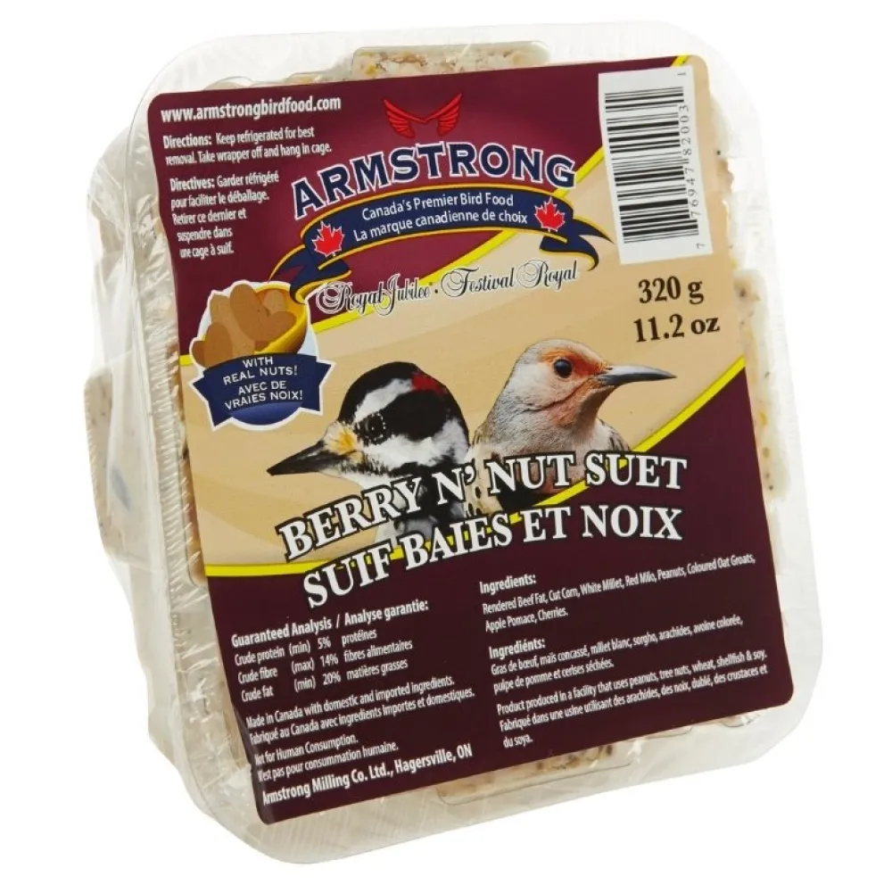 Best Berry N' Nut Suet Shop Bird Find All Of The Essentials