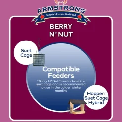 Best Berry N' Nut Suet Shop Bird Find All Of The Essentials