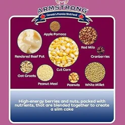 Best Berry N' Nut Suet Shop Bird Find All Of The Essentials