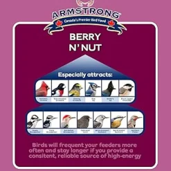 Best Berry N' Nut Suet Shop Bird Find All Of The Essentials