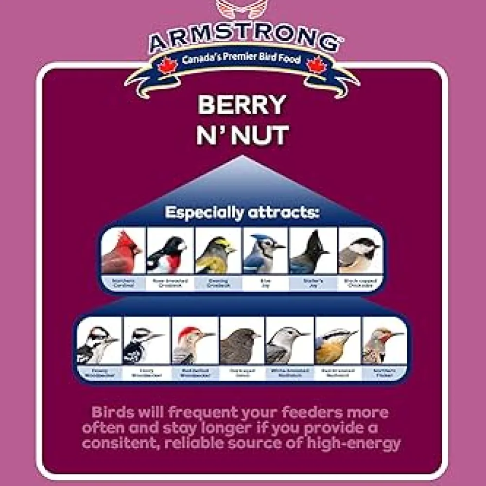 Best Berry N' Nut Suet Shop Bird Find All Of The Essentials