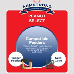 Clearance Peanut Select Suet Shop Bird Find All Of The Essentials