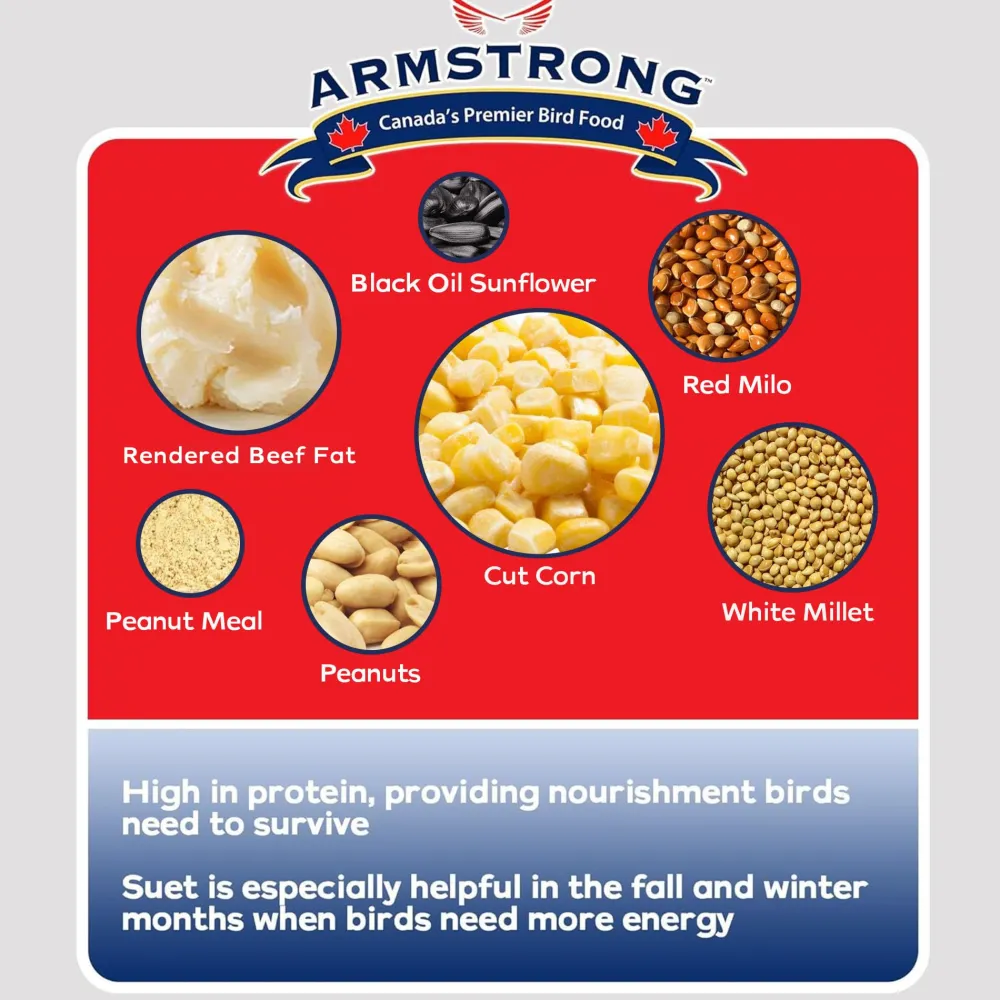 Clearance Peanut Select Suet Shop Bird Find All Of The Essentials