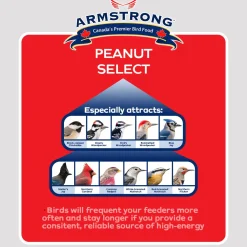 Clearance Peanut Select Suet Shop Bird Find All Of The Essentials