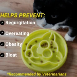 Clearance Cat Slow Feeder Supplies Collars, Scratchers, Toys, Etc.