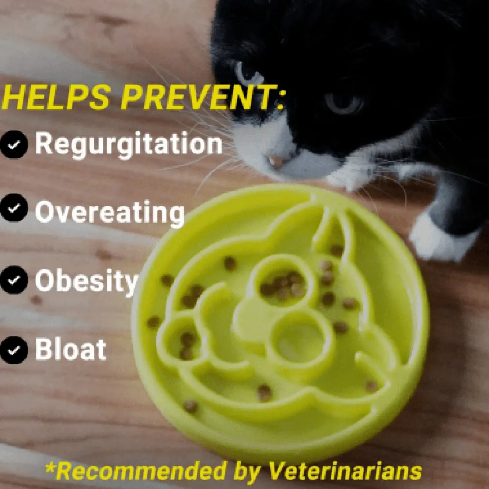 Clearance Cat Slow Feeder Supplies Collars, Scratchers, Toys, Etc.