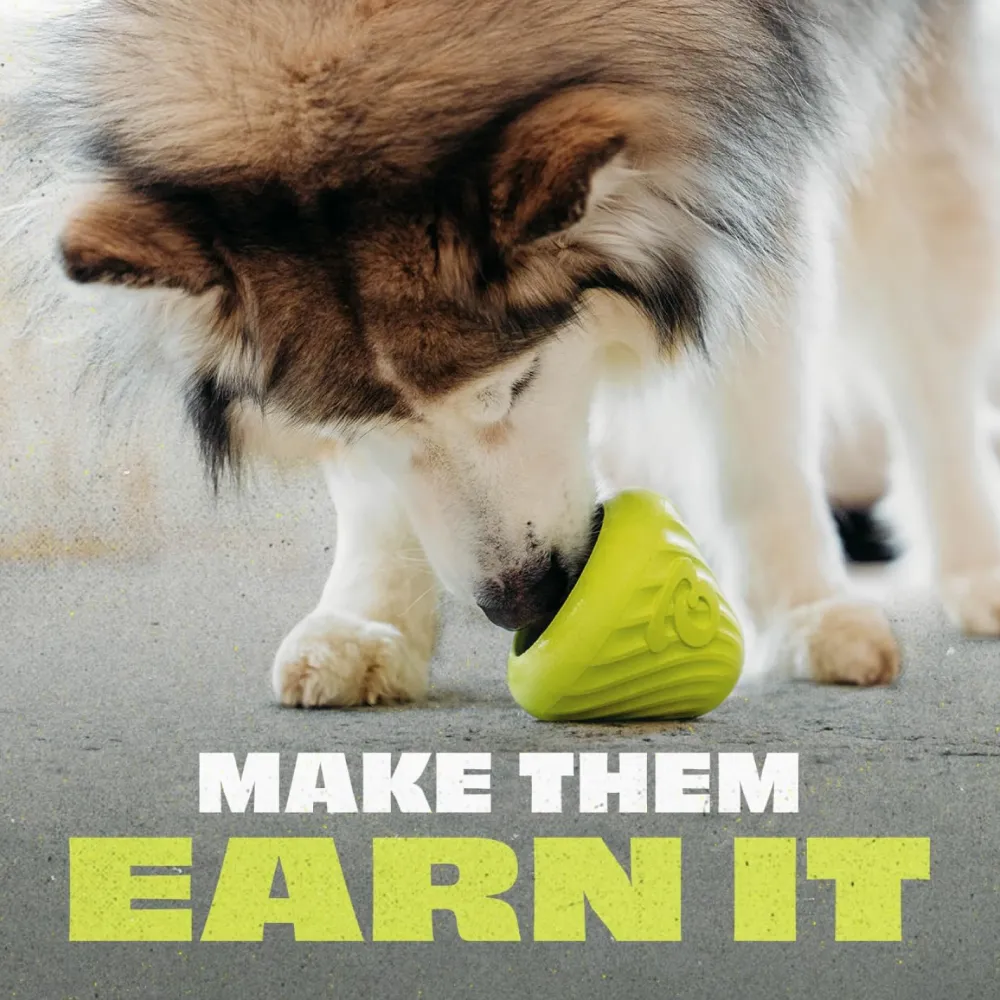 Best Natural Rubber Cone Dog Toys Supplies Leashes, Collars, Beds, Flea & Tick, Etc. | Toys Interactive, Plush, Etc.