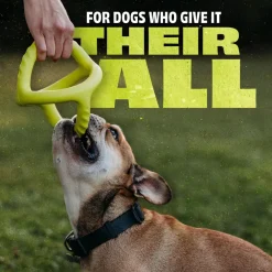 Sale Natural Rubber Tug Dog Toy Supplies Leashes, Collars, Beds, Flea & Tick, Etc. | Toys Interactive, Plush, Etc.
