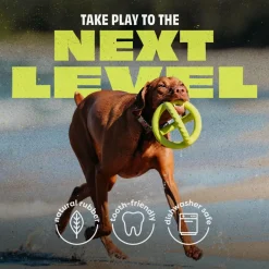 Sale Natural Rubber Tug Dog Toy Supplies Leashes, Collars, Beds, Flea & Tick, Etc. | Toys Interactive, Plush, Etc.
