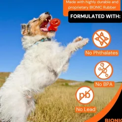 Best Rubber Dog Bone Supplies Leashes, Collars, Beds, Flea & Tick, Etc. | Toys Interactive, Plush, Etc.
