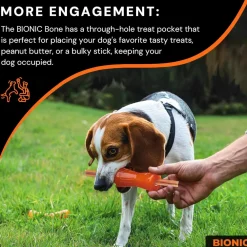 Best Rubber Dog Bone Supplies Leashes, Collars, Beds, Flea & Tick, Etc. | Toys Interactive, Plush, Etc.