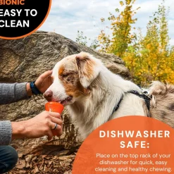 Best Rubber Dog Bone Supplies Leashes, Collars, Beds, Flea & Tick, Etc. | Toys Interactive, Plush, Etc.