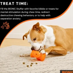 Outlet Rubber Stuffer Dog Toy Supplies Leashes, Collars, Beds, Flea & Tick, Etc. | Toys Interactive, Plush, Etc.