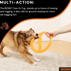Sale Rubber Toss-N-Tug Ring Dog Toy Supplies Leashes, Collars, Beds, Flea & Tick, Etc. | Toys Interactive, Plush, Etc.