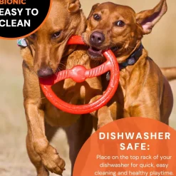Sale Rubber Toss-N-Tug Ring Dog Toy Supplies Leashes, Collars, Beds, Flea & Tick, Etc. | Toys Interactive, Plush, Etc.
