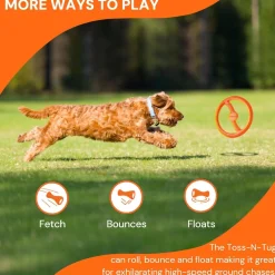 Sale Rubber Toss-N-Tug Ring Dog Toy Supplies Leashes, Collars, Beds, Flea & Tick, Etc. | Toys Interactive, Plush, Etc.